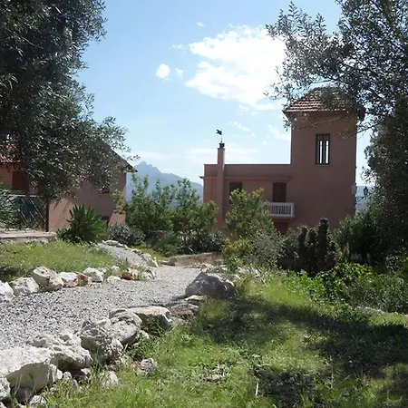 Paladino Solunto