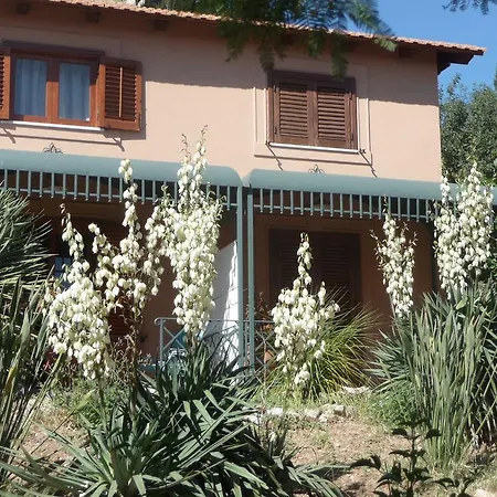 Paladino Solunto