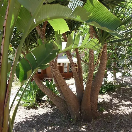Paladino Solunto Holiday home Santa Flavia